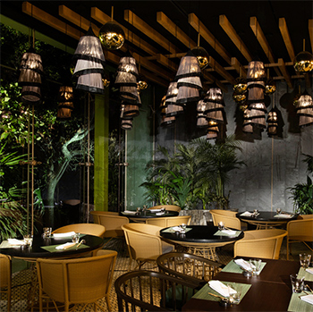 Interior Restaurante